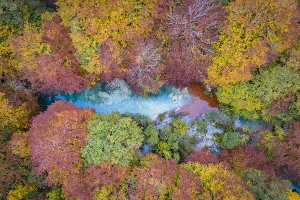 Vue du haut de la rivière parmi les arbres